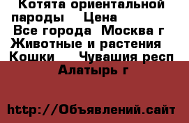 Котята ориентальной пароды  › Цена ­ 12 000 - Все города, Москва г. Животные и растения » Кошки   . Чувашия респ.,Алатырь г.